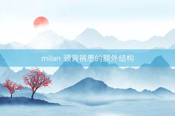 milan 颈背祸患的额外结构