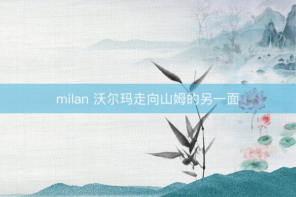 milan 沃尔玛走向山姆的另一面